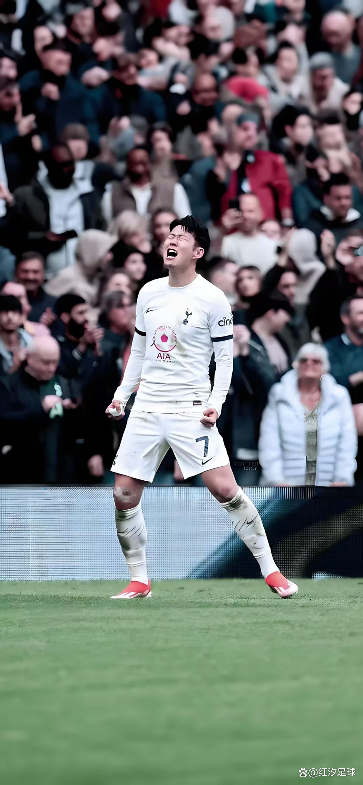 热刺换帅仅获一分,球队保级艰难 热刺换帅仅获一分,球队保级艰难